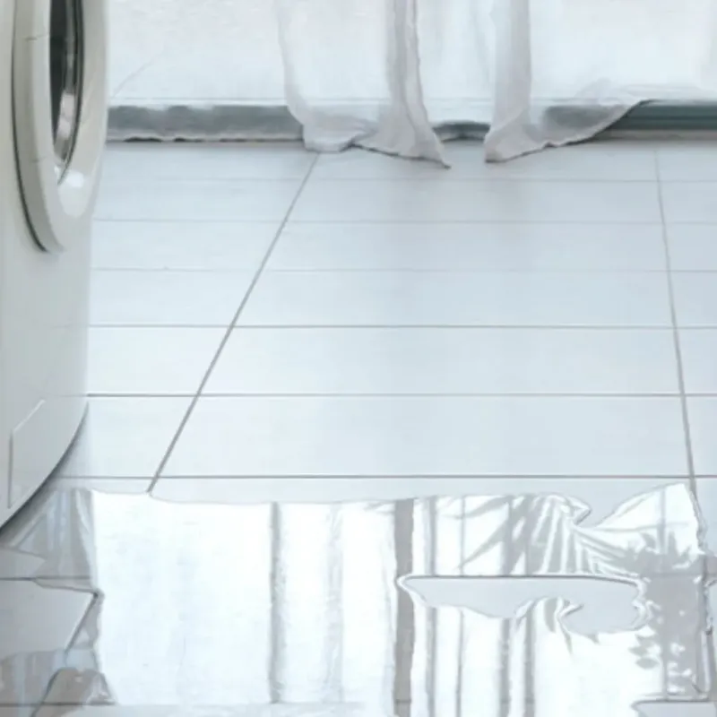 Appliance Leak Cleanup in Pinehurst, TX