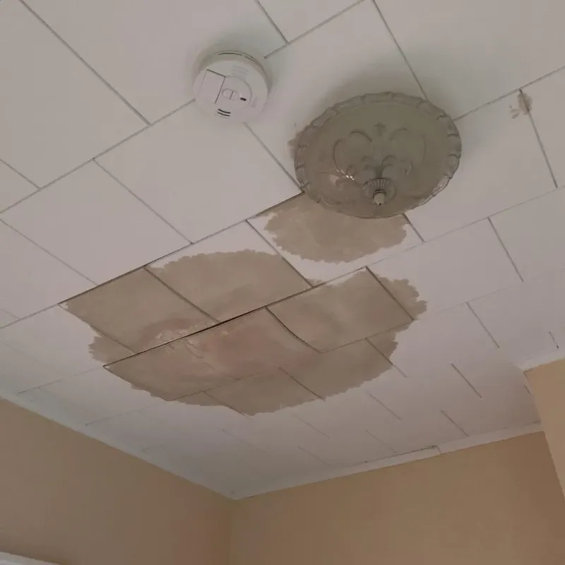 Ceiling Water Damage Repair in Pinehurst, TX