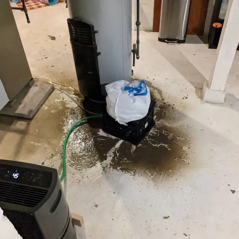 Sewage Backup Cleanup Service in Pinehurst, TX